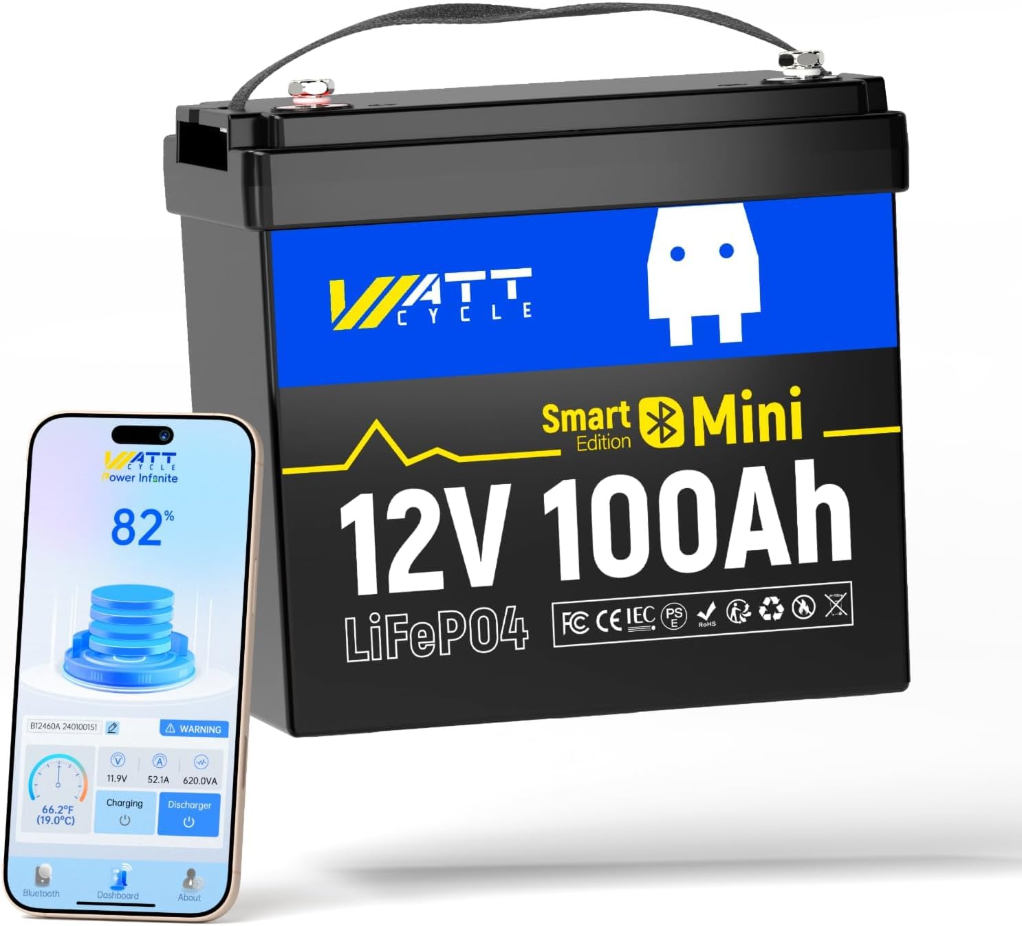 Lifepo4 12V 100Ah Bms Bluetooth - 12V 100Ah Mini LiFePO4 Battery Group
